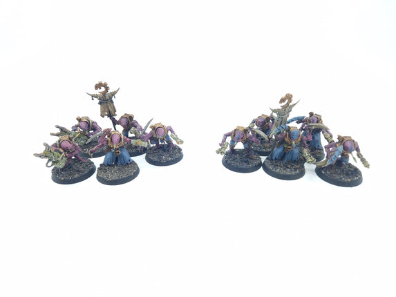 GSC acolyte hybrids