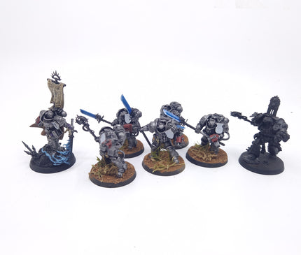 Grey Knights Terminators & Characters (primaris)