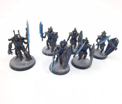 Necrons Lord & Lychguard