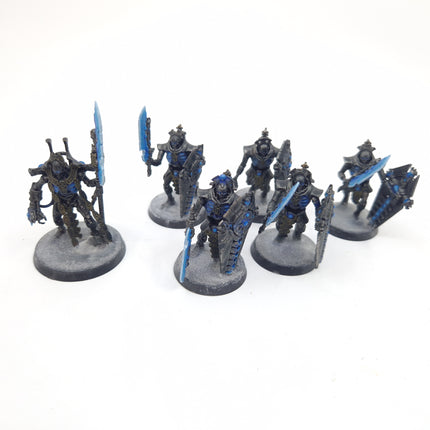 Necrons Lord & Lychguard