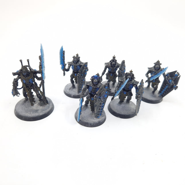 Necrons Lord & Lychguard