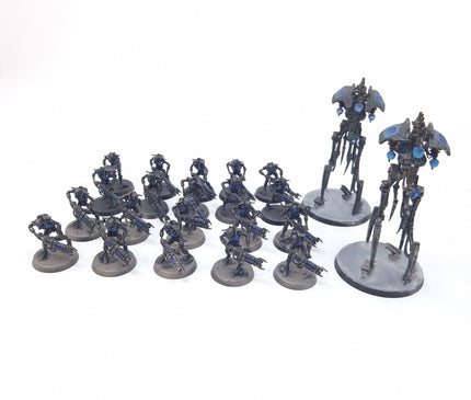 Necrons Warriors & Reanimators