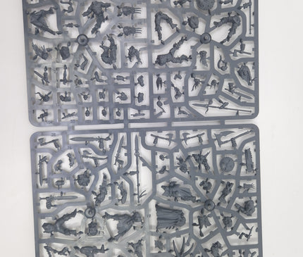 Chaos Darkoath Sprue