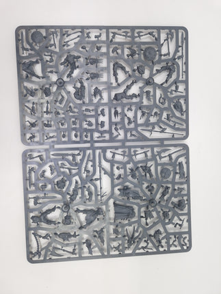 Chaos Darkoath Sprue