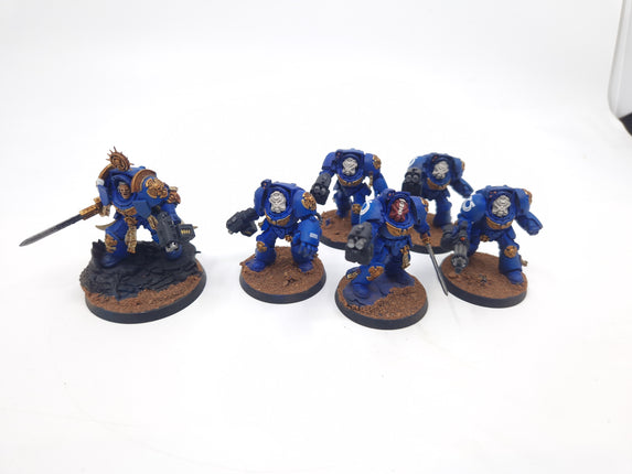 Space Marine Terminatos & Captain