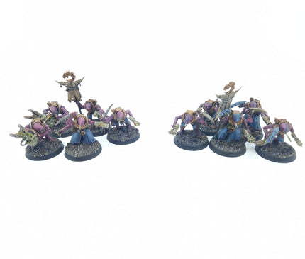 GSC acolyte hybrids