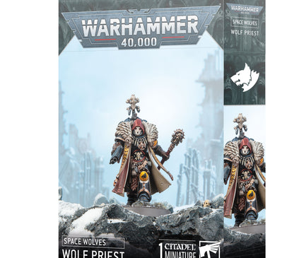 Space Wolves: Wolf Priest