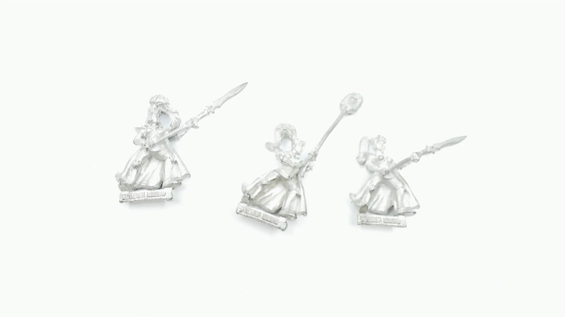 High Elf Maidenguard